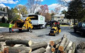 Best Tree Removal  in Central, LA